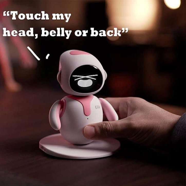 ربات ایلیک Eilik Robot